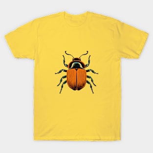 Beetle T-Shirt